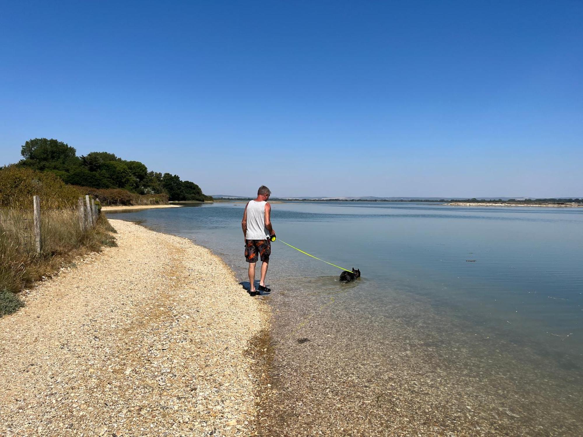 Stay At 'The Elms' In Tranquil Church Norton, Selsey - Ground Floor Bedroom, Own Private Bathroom, Quiet Beach, 2 Acre Garden By The Sea, On Edge Of Wildlife Nature Reserve Luaran gambar