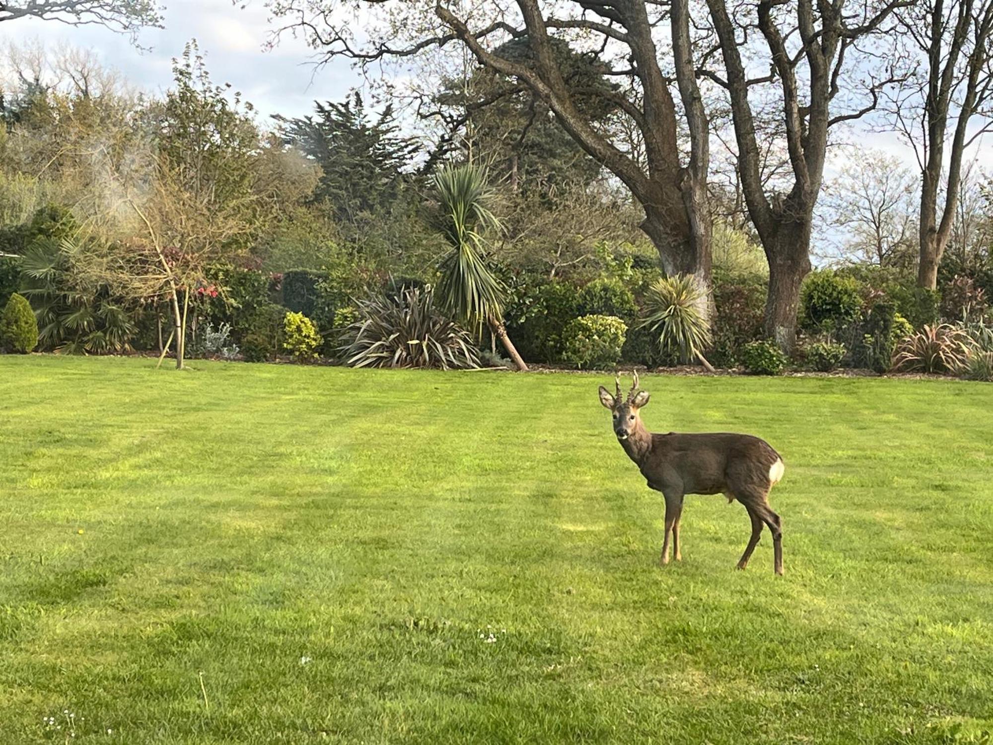 Stay At 'The Elms' In Tranquil Church Norton, Selsey - Ground Floor Bedroom, Own Private Bathroom, Quiet Beach, 2 Acre Garden By The Sea, On Edge Of Wildlife Nature Reserve Luaran gambar
